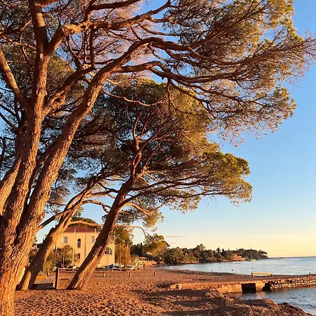 Proche Plage, Commerces