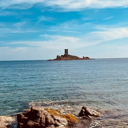 Proche Plage, Commerces *